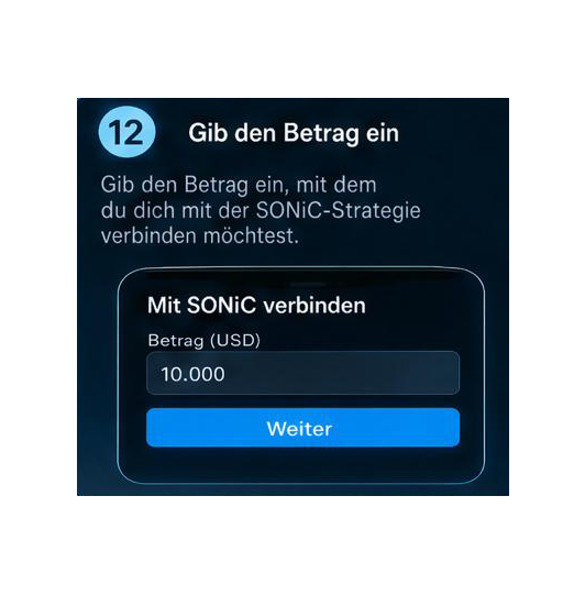 CopyX –> SONiCSchritt 12